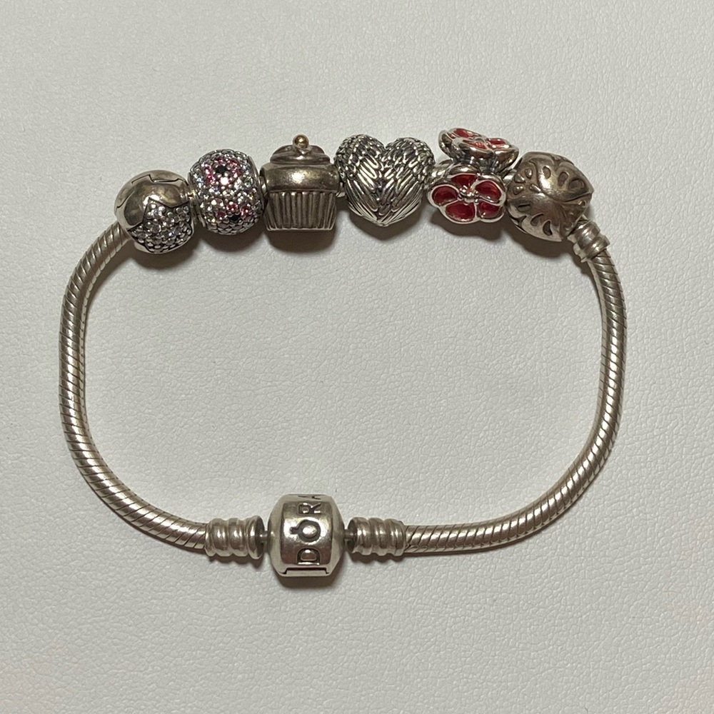 Pandora Bracelet with charms